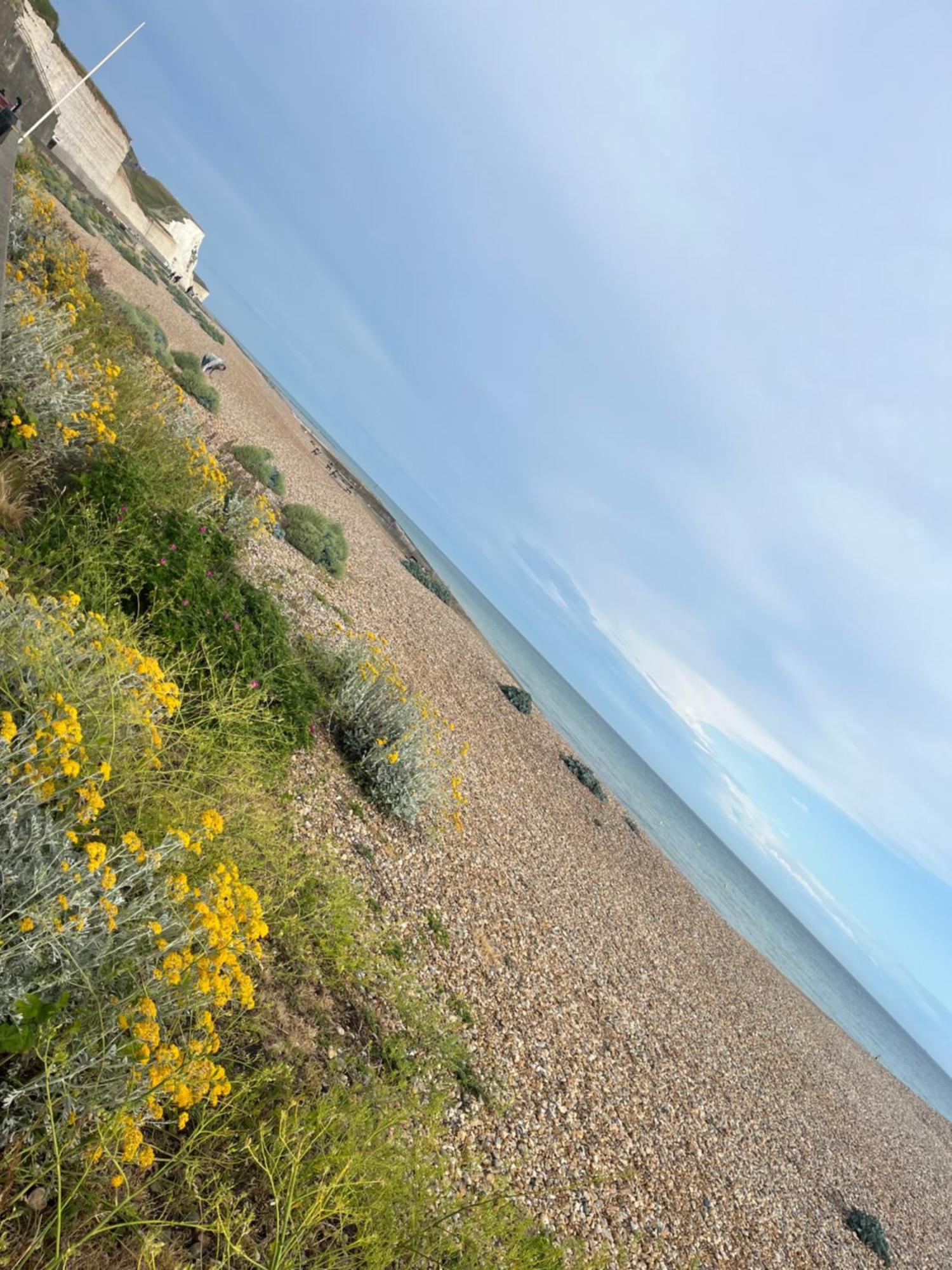 Saltdean Stay Hove Exteriér fotografie